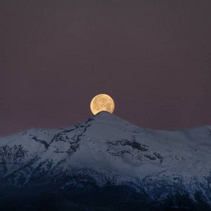 Meet your Posher, Kazis